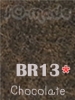5-โทนสีน้ำตาล #BR13
